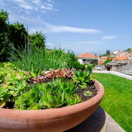 Apartament Green Garden - Three Bedroom With Private Pool Splitska